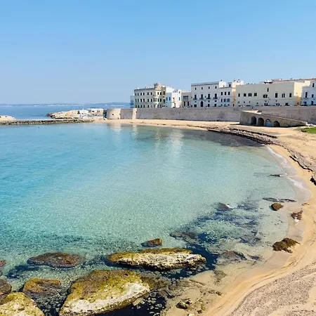 The Palms By Sweet Puglia